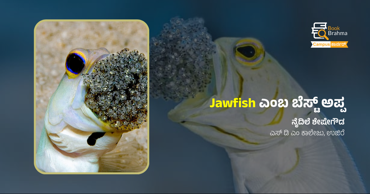  Jawfish ಎಂಬ ಬೆಸ್ಟ್ ಅಪ್ಪ | ನೈದಿಲೆ ಶೇಷೇಗೌಡ