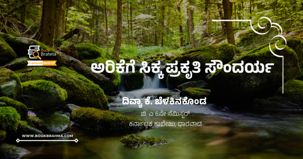 ಅರಿಕೆಗೆ ಸಿಕ್ಕ ಪ್ರಕೃತಿ ಸೌಂದರ್ಯ | ದಿವ್ಯಾ ಕೆ